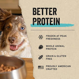 Vital Essentials Freeze Dried Grain Free Minnows Treats for Dogs