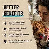 Vital Essentials - Freeze Dried Turkey Nibs Entree