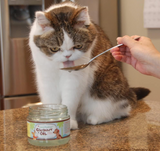 CocoTherapy Organic Virgin Coconut Oil, 8 Ounces, Natural Supplement for Dog Skin Coat Digestion and Immunity