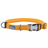 Coastal K9 Explorer Brights Reflective Dog Collar
