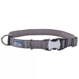 Coastal K9 Explorer Brights Reflective Dog Collar