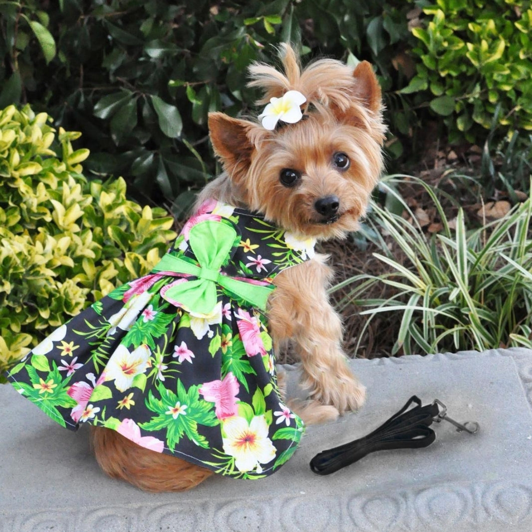 black hawaiian dress Twilight Black Hawaiian Hibiscus Dog Dress with Leash, Large