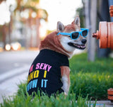 Parisian Pet Sexy And I Know It Dog & Cat T-Shirt