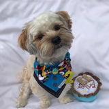 Birthday Boy Dog Toy