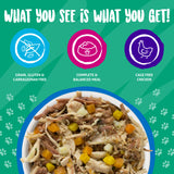 Weruva Wok The Dog with Chicken, Beef & Pumpkin in Gravy Canned Dog Food