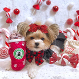 Peppermint Mocha Starbarks Coffe Dog Toy
