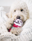 Peppermint Mocha Starbarks Coffe Dog Toy