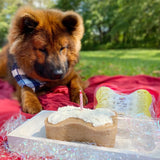 Puppy Cake Dog Birthday Cake Kit- Banana Cake Mix, Icing Mix, and One Candle