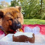 Puppy Cake Dog Birthday Cake Kit- Carob Cake Mix, Icing Mix, and One Candle
