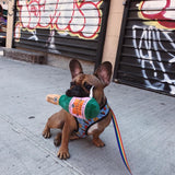 Woof Clicquot Rose Dog Toy