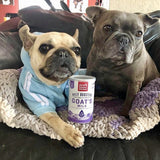 The Honest Kitchen Daily Boosters Goat's Milk 5.2oz