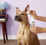 NaturVet Tear Stain Remover Dog & Cat Liquid Topical Formula