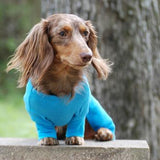 Doggie Design Santa's Dog Pajamas Blue