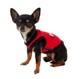 Parisian Pet The Boss Dog & Cat T-Shirt