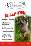 Glacier Peak Holistics Inflapotion for Dogs 2oz Tincture