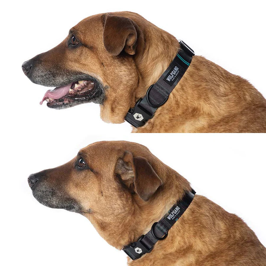 News Flash: Wolfgang's EPIC Dog Harnesses & Collars - VANISH TODAY