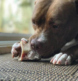 Primal Raw Recreational Beef Marrow Bone