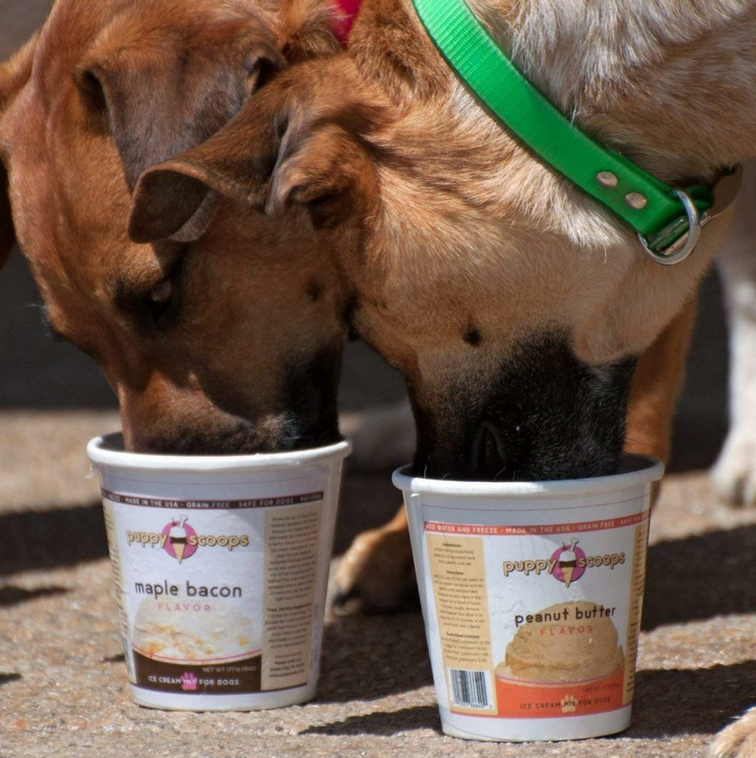 Puppy Scoops Ice Cream Mix- Carob