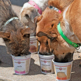 Puppy Scoops Ice Cream Mix - Maple Bacon