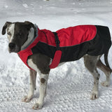 Red and Black All Weather Dog Coat