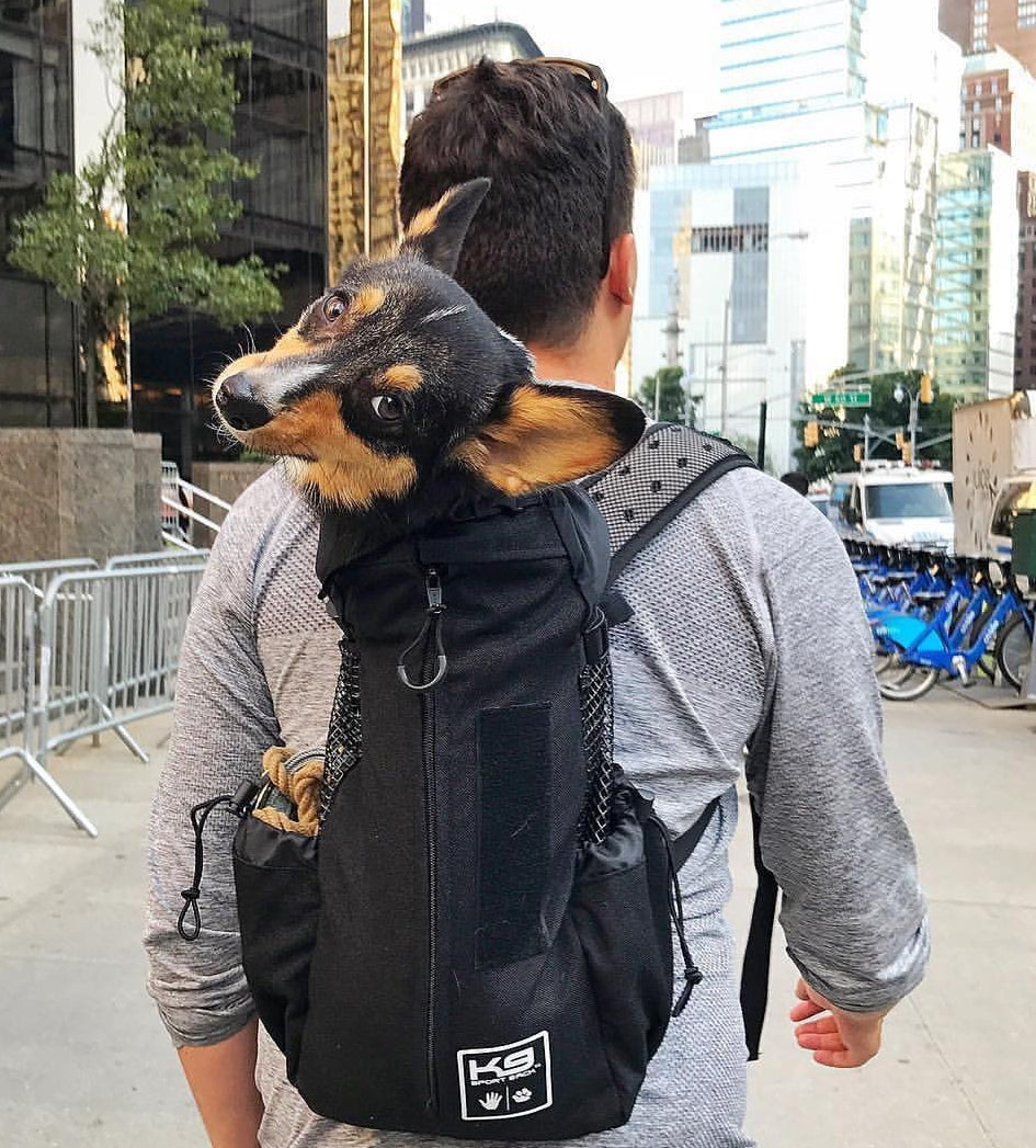 K9 Sport Sak Air Jet Black, Dog Backpack1