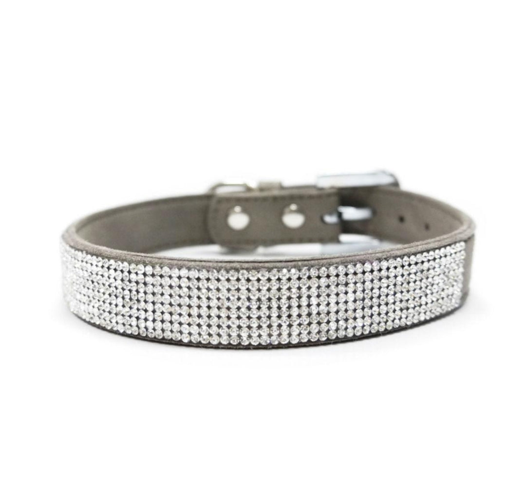 VIP Bling Dog Collar by Dogo Gray
