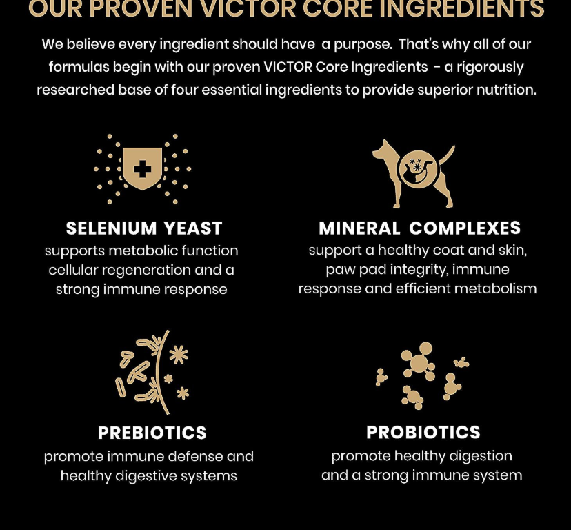 Victor salmon dog food 2024 ingredients