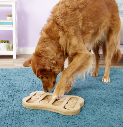 ETHICAL PET Seek-A-Treat Shuffle Bone Puzzle Dog Toy 