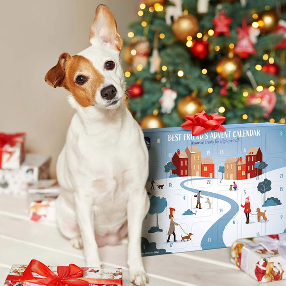 Himalayan Pet Supply Best Friend's Advent Calendar Dog Treats