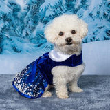Doggie Design Holiday Snowflakes Dog Dress With Leash