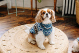 Chilly Dog -LIGHT BLUE FAIRISLE DOG SWEATER