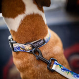 Wolfgang Mountain Wave Dog Collar