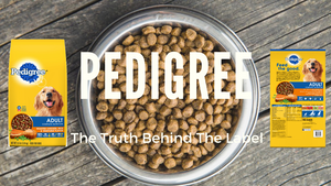 The Truth About Pedigree