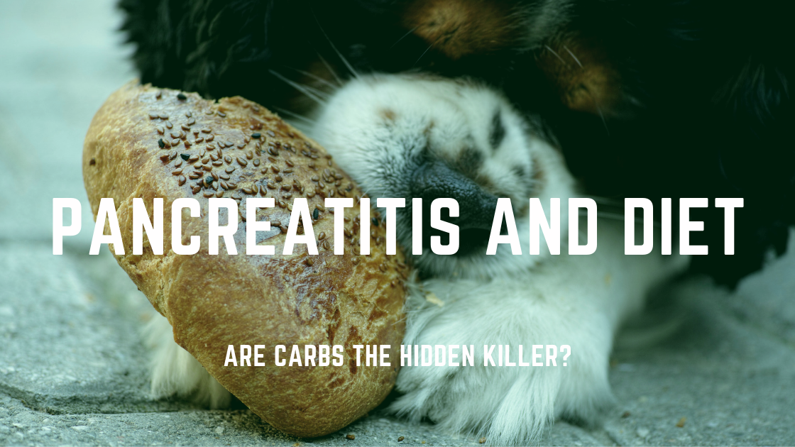 Pancreatitis in Dogs