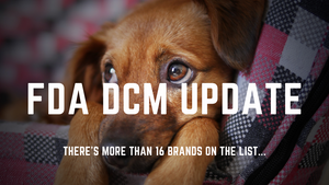 DCM Update