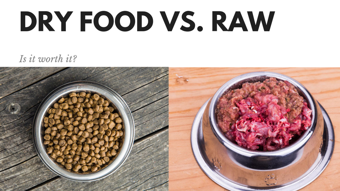 Kibble vs. Fresh Whole Food