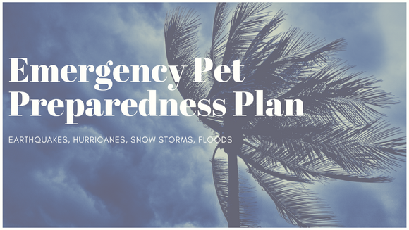 Emergency Pet Preparedness Plan