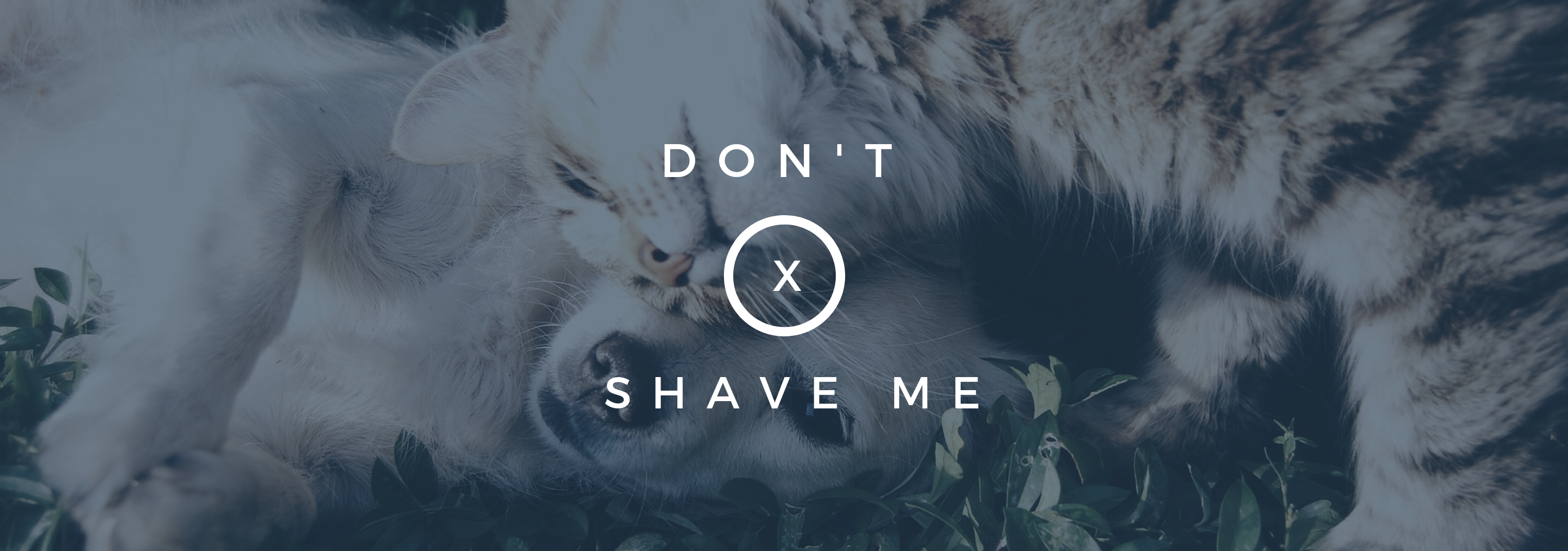 Don't Shave Me!