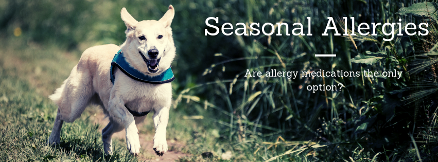 Seasonal Allergies