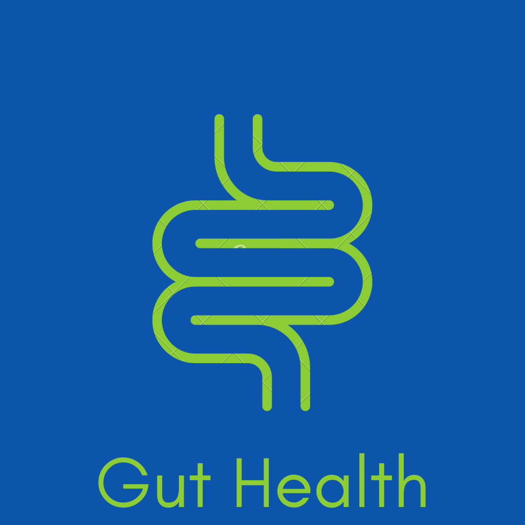 Gut Health