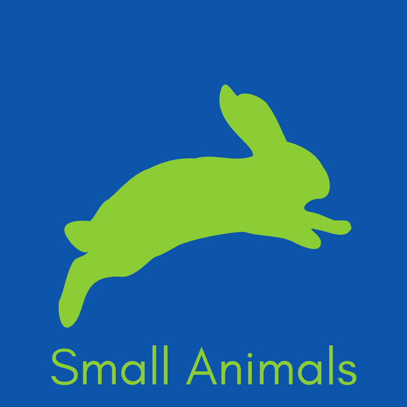 Small Animals