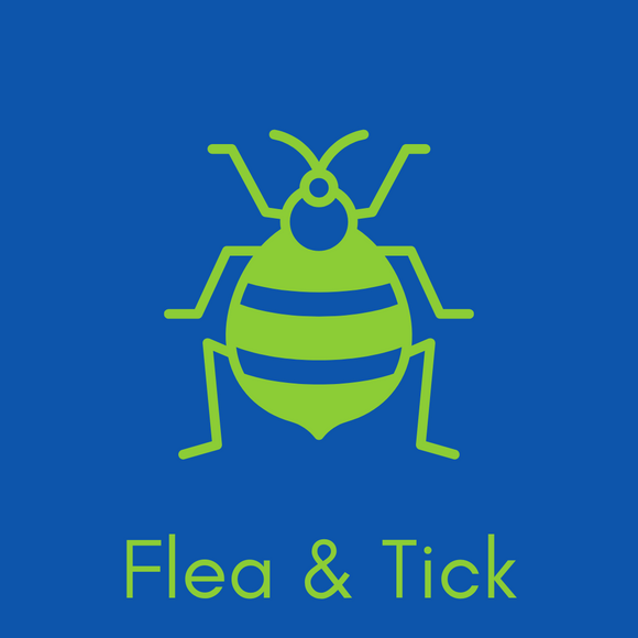 Flea & Tick Cats and Dogs