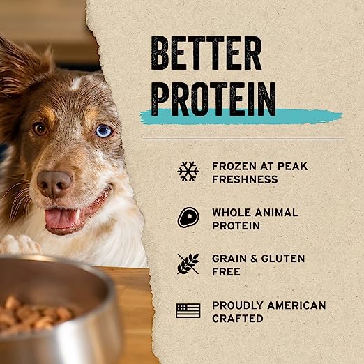 Vital Essentials - Freeze-Dried Beef Nibs Entree