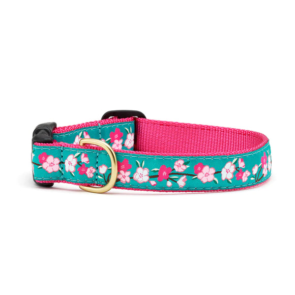 Up Country - Cherry Blossoms Collar