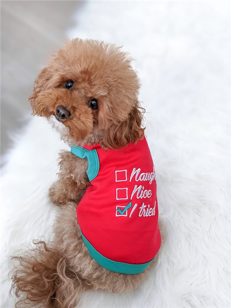 Parisian Pet Naughty or Nice Dog Tank