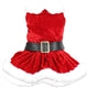Mrs. Claus Winter Dog Dress