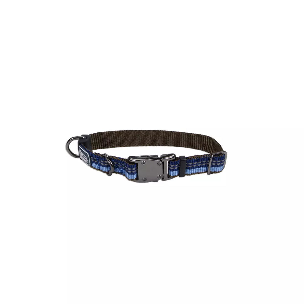 Coastal K9 Explorer Reflective Dog Collar