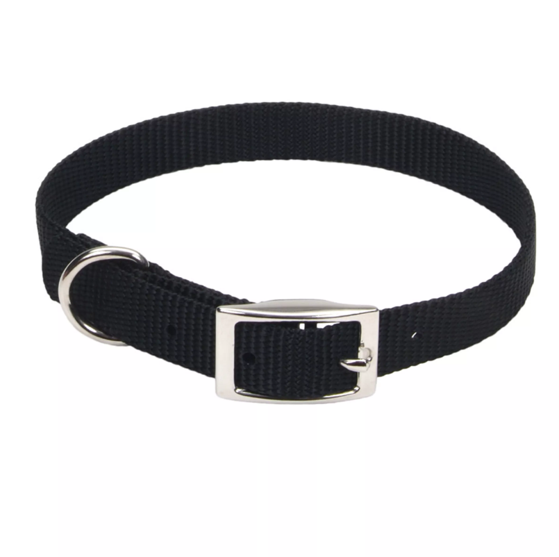 Coastal Pet Products Standard Nylon Medium Dog Collar