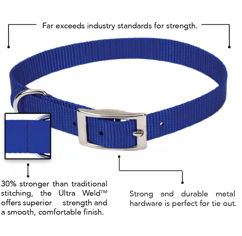 Coastal Pet Products Standard Nylon Medium Dog Collar