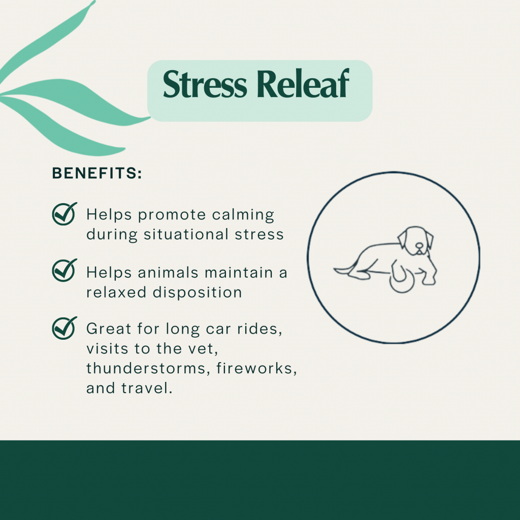 Pet Releaf Stress Releaf Edibites – PB Carob